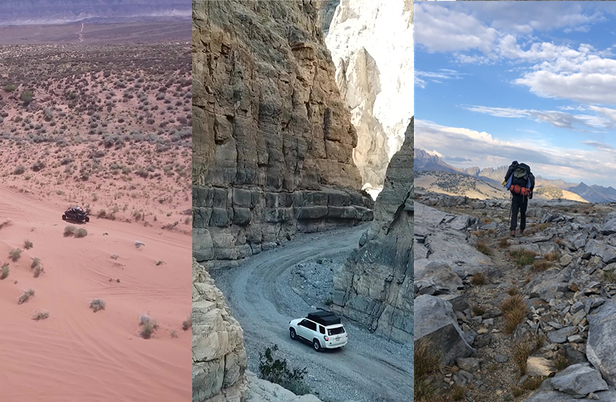 Examples of videos