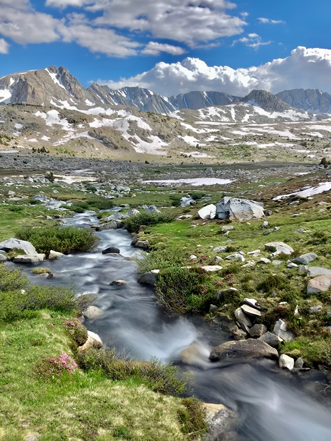 Nature Photo