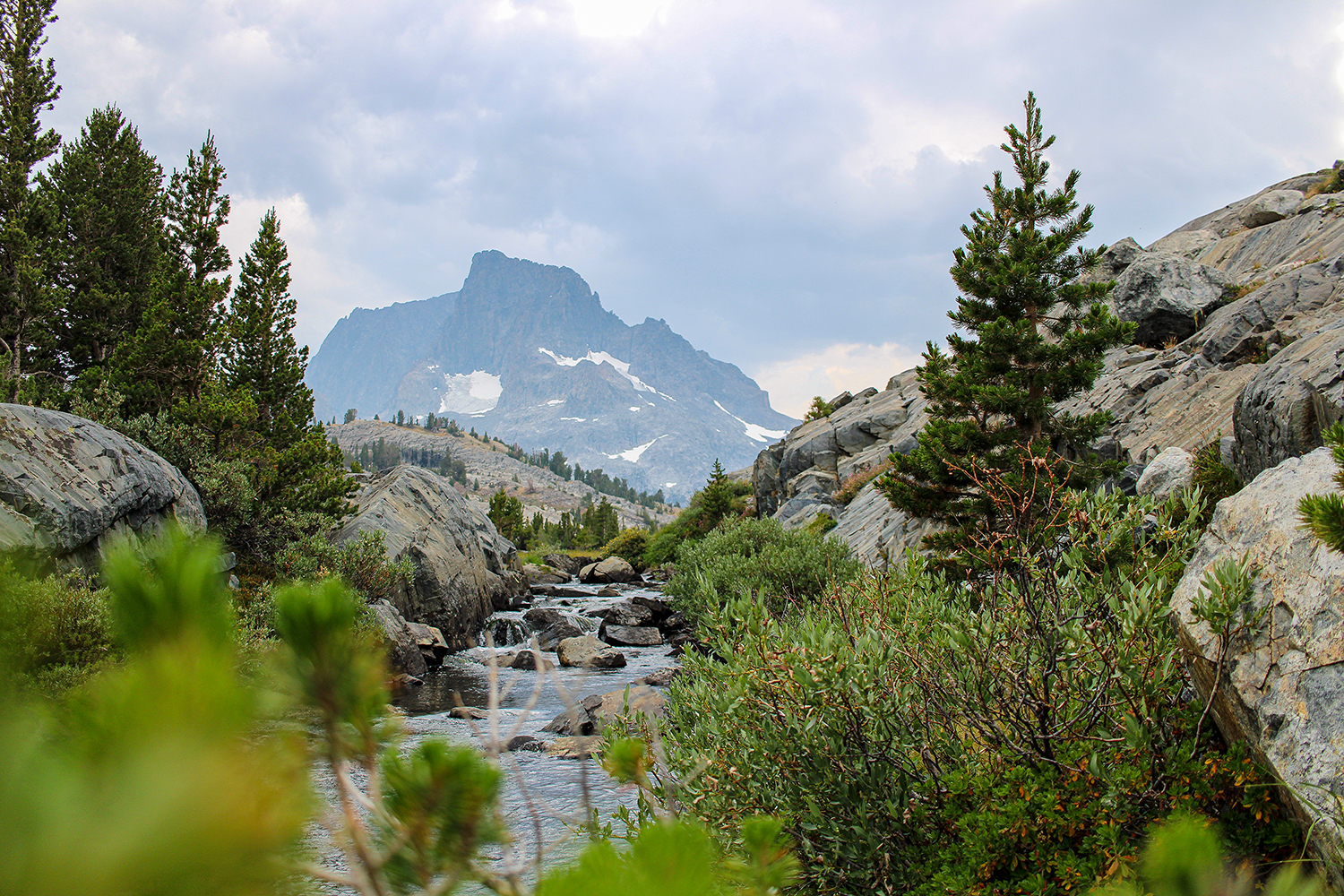 Nature Photo