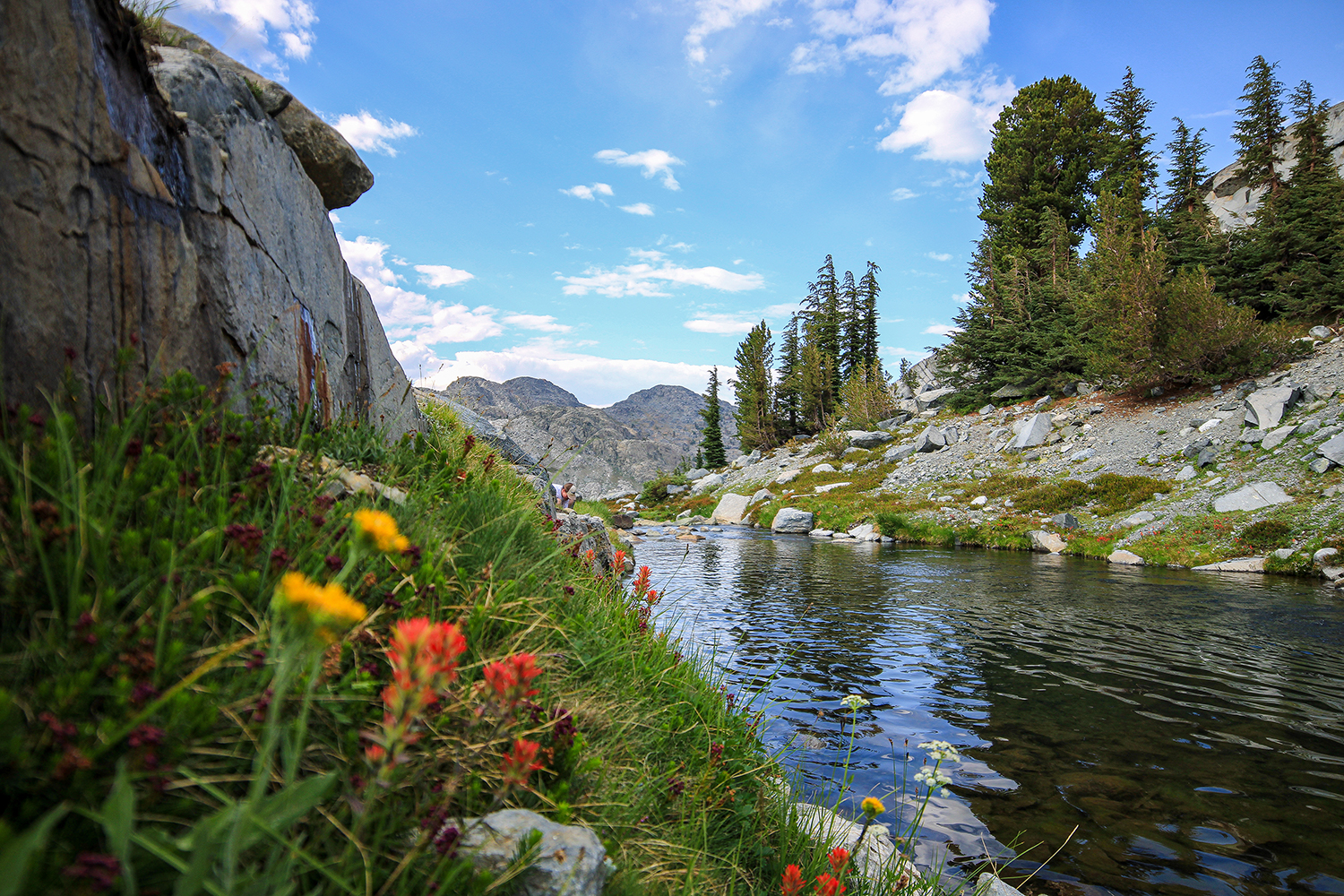 Nature Photo