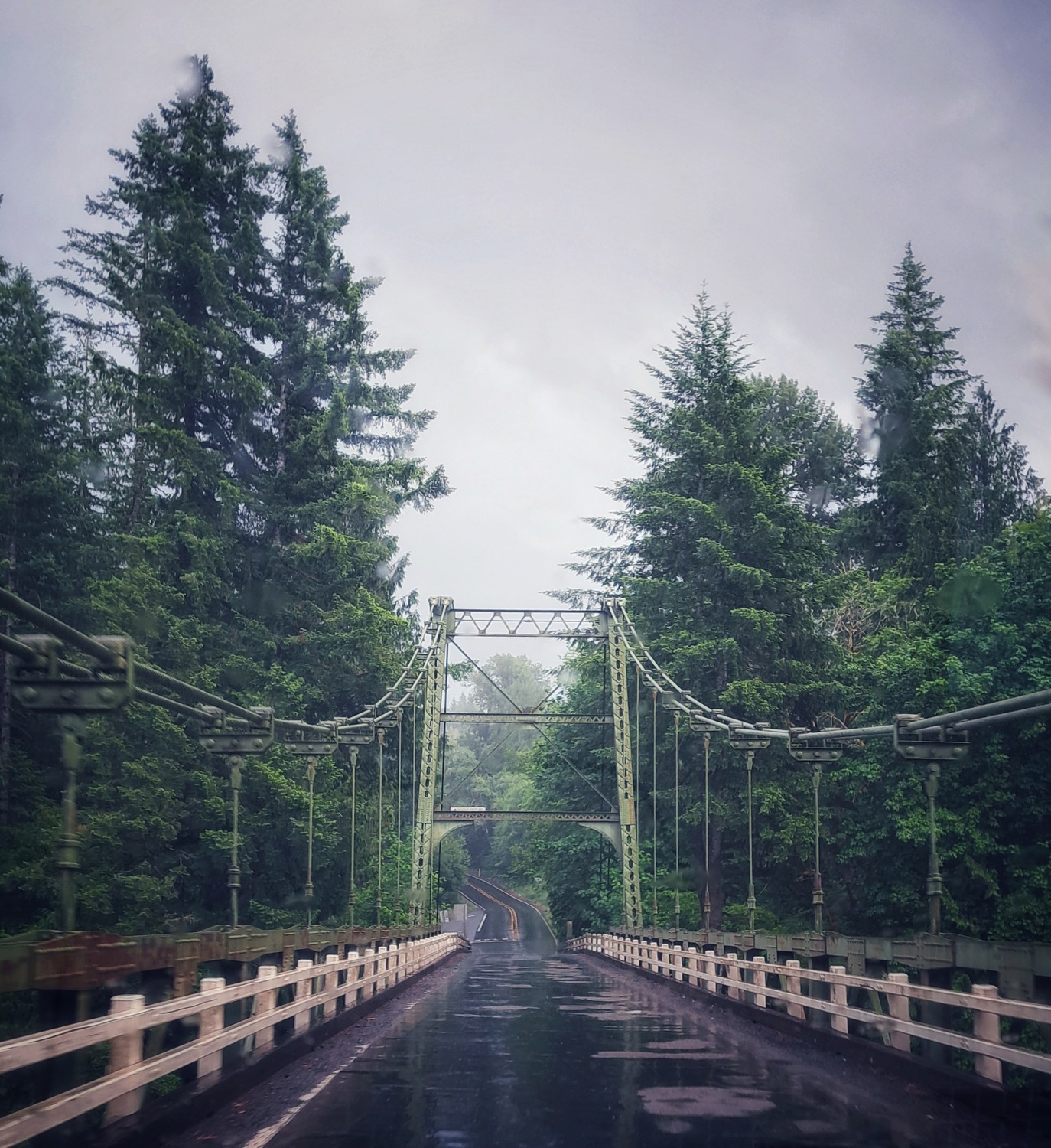 Nature Photo