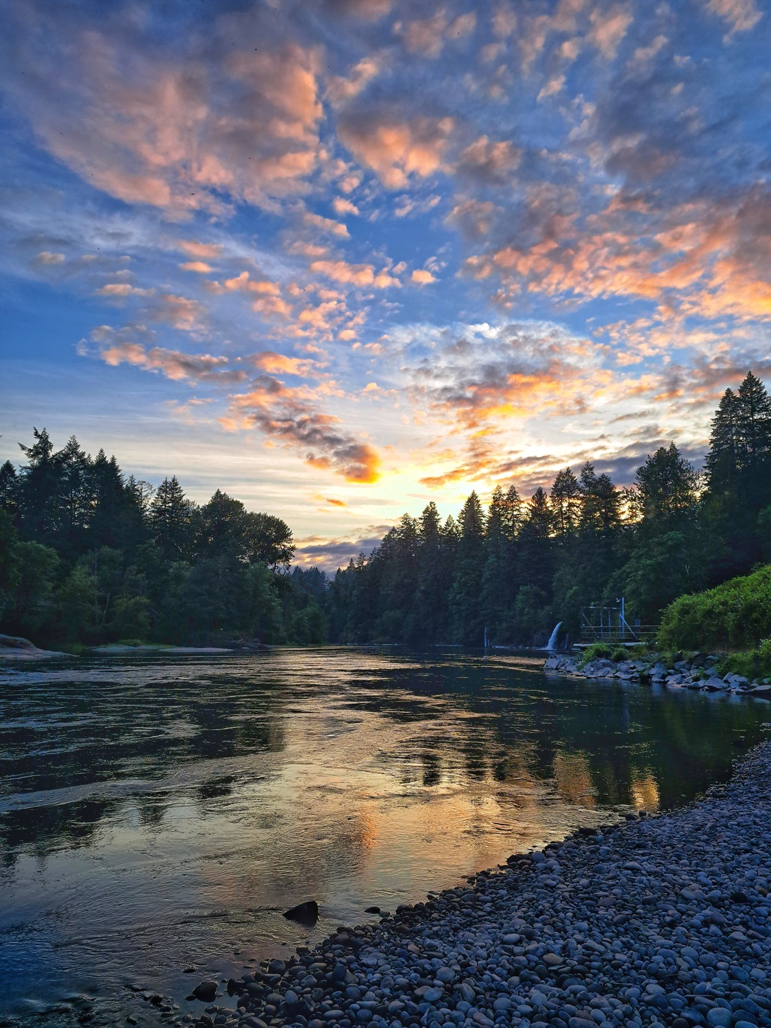 Nature Photo