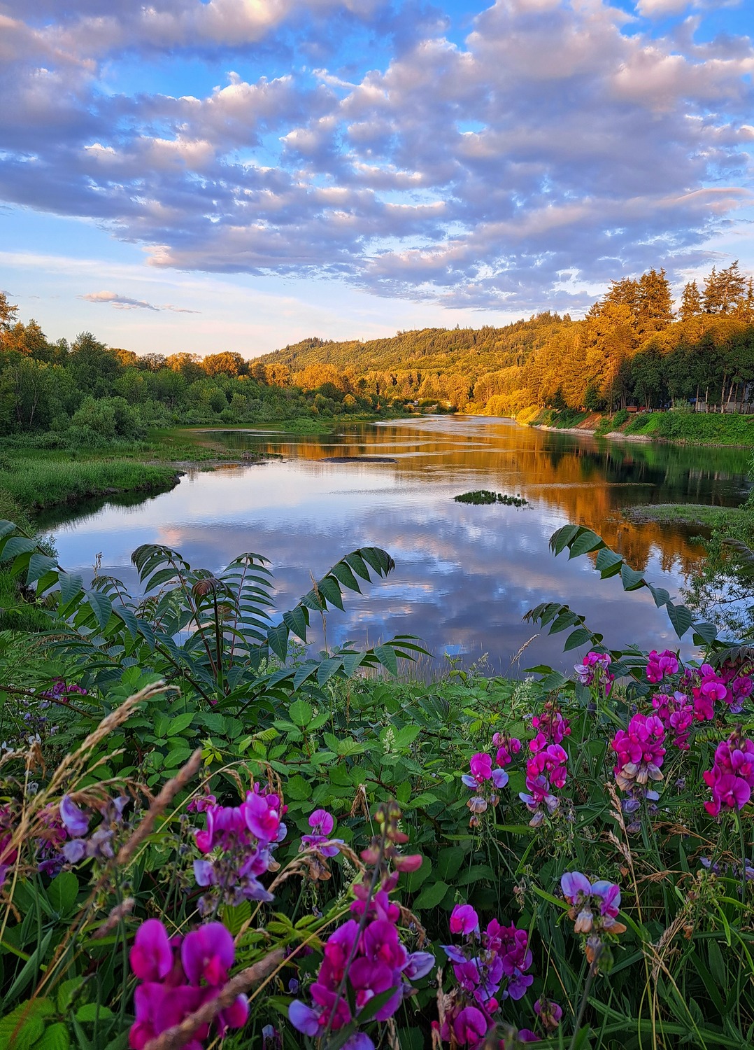 Nature Photo