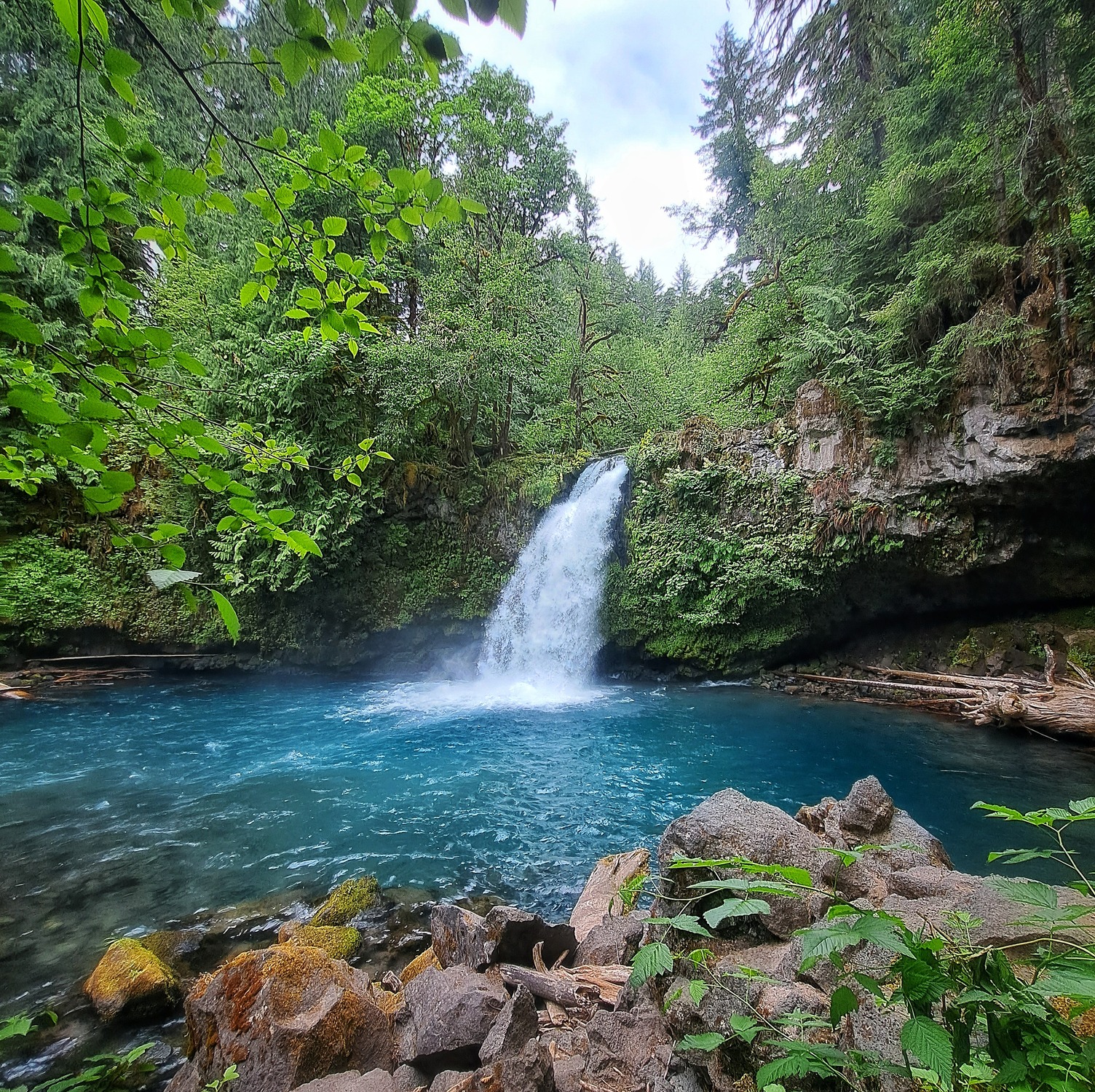 Nature Photo