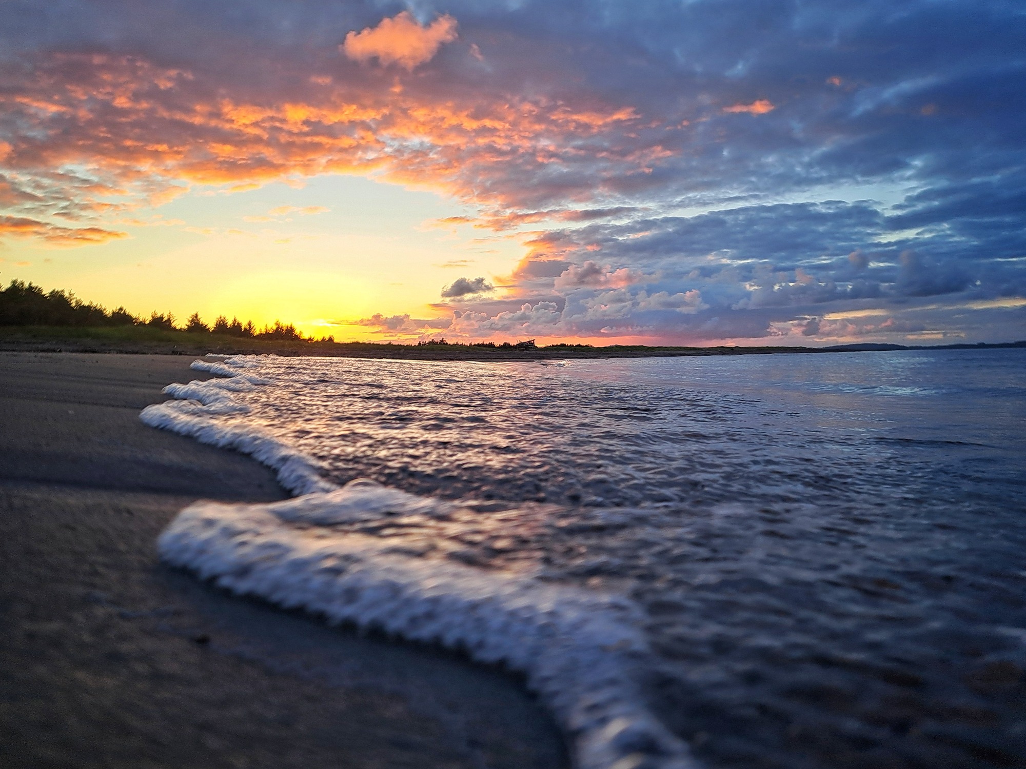 Nature Photo