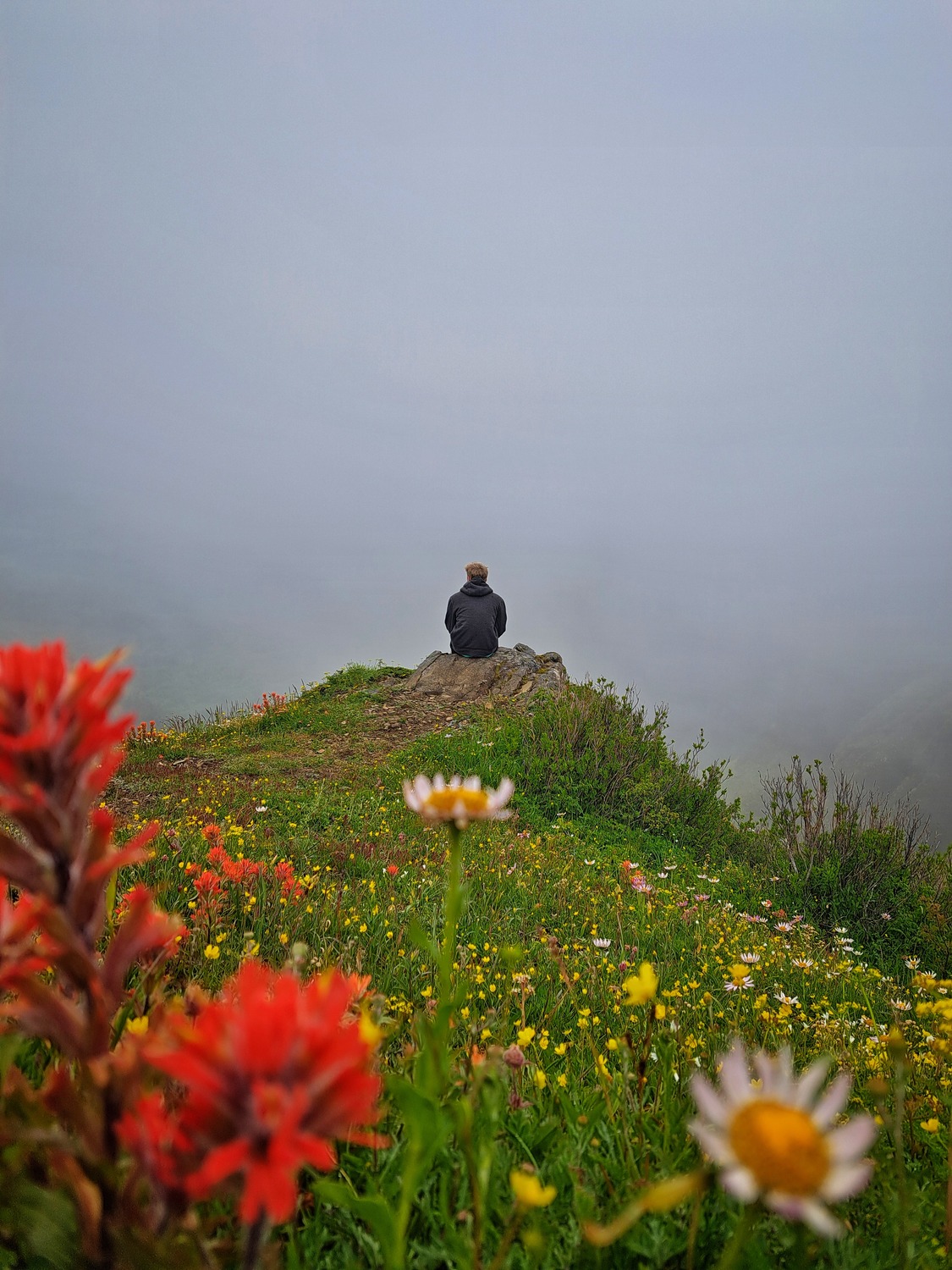Nature Photo