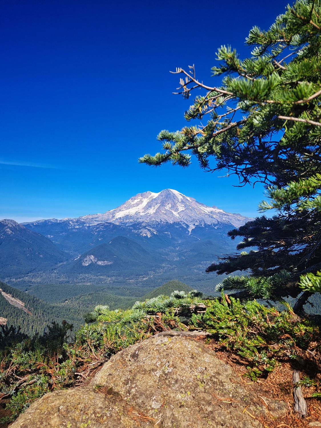 Nature Photo