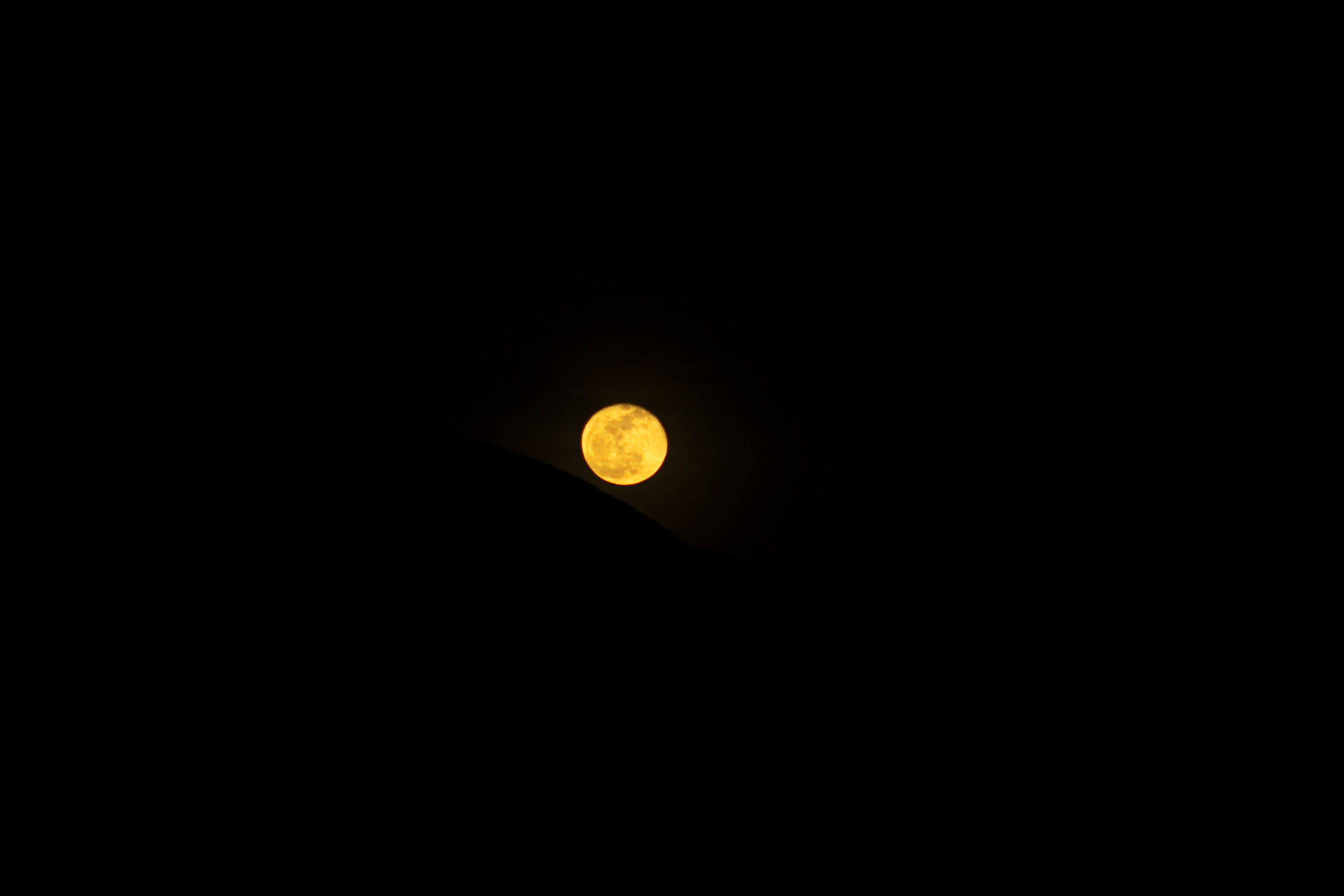 Night Sky Photo