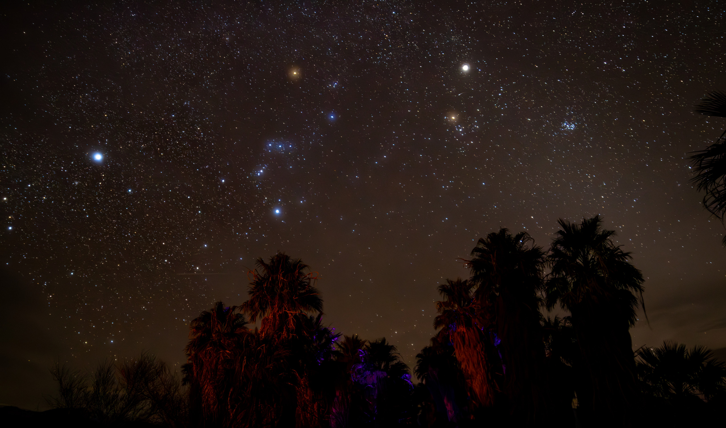 Night Sky Photo